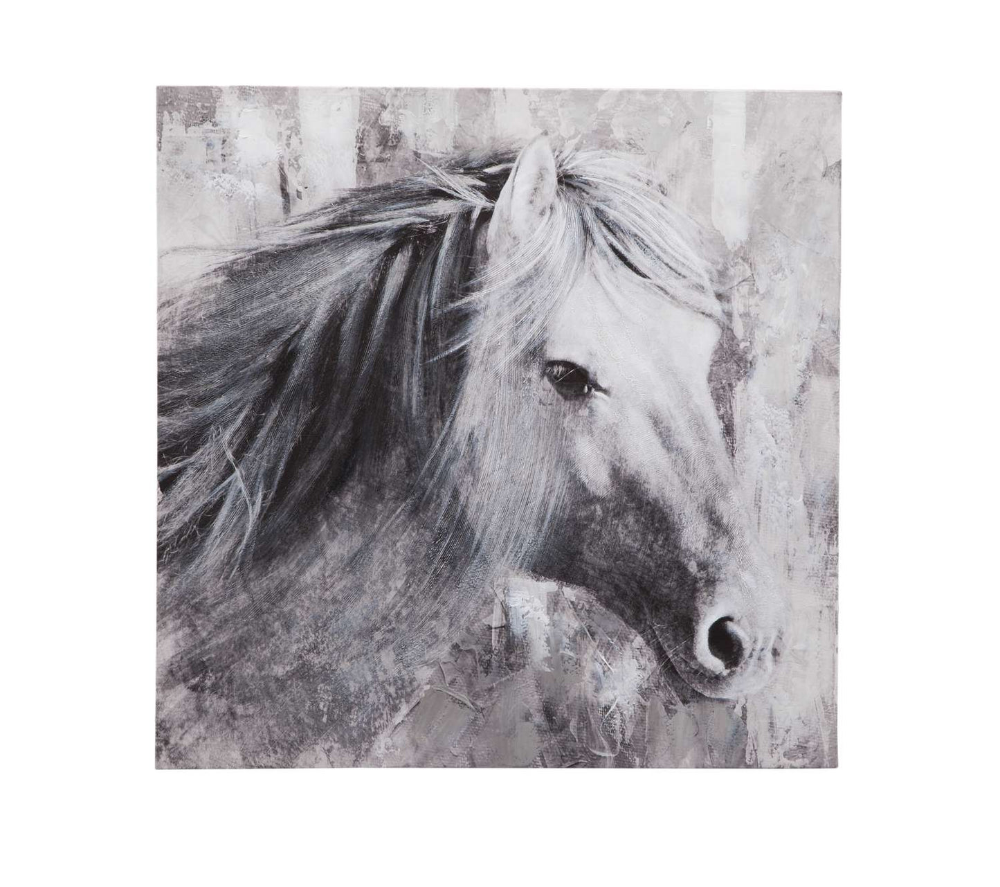 Meg Canvas Art - Straight On