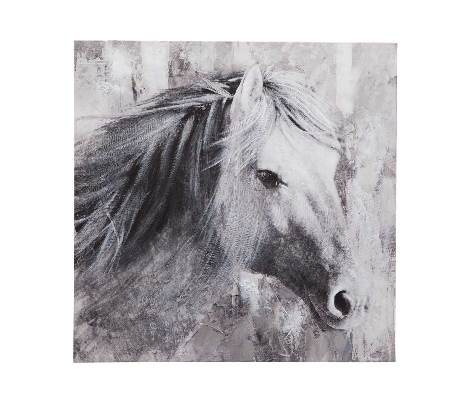 Meg Canvas Art - Straight On