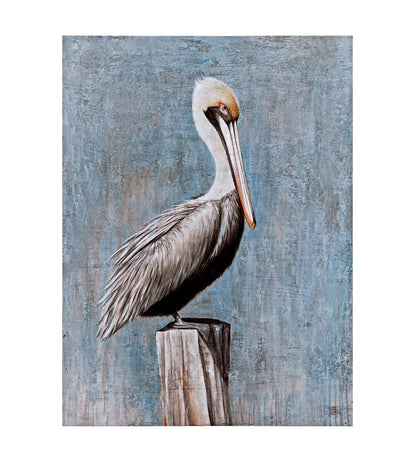 Pelican Canvas Art - Straight On