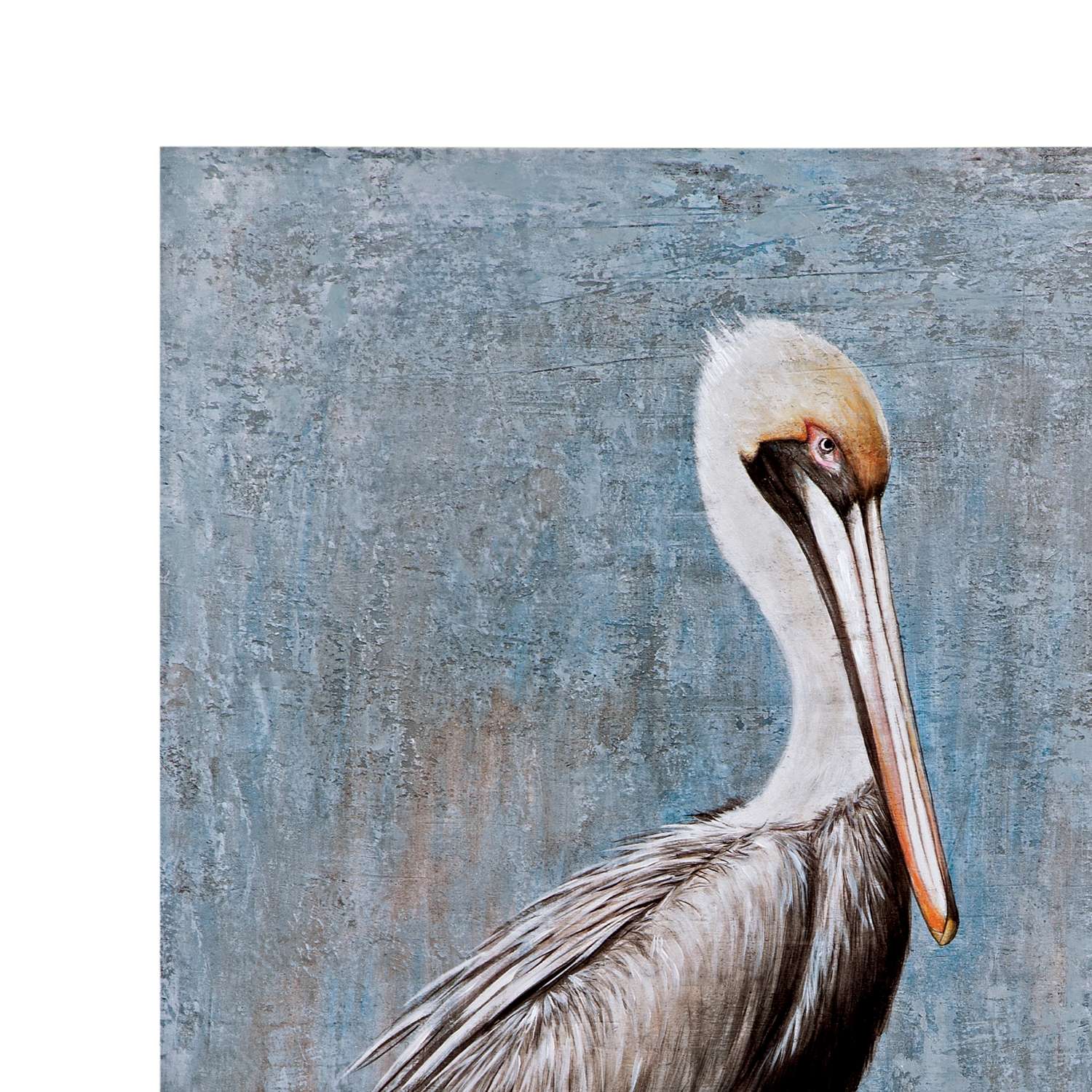 Pelican Canvas Art - Detail