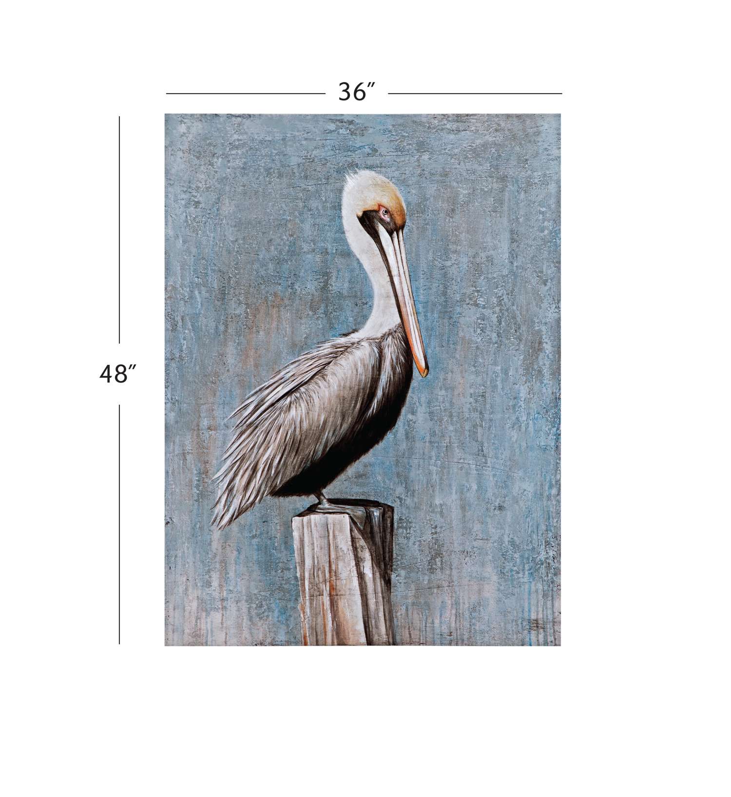 Pelican Canvas Art - Dimensional
