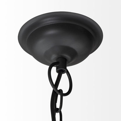 Black 4 Light Chandelier w/ Shades