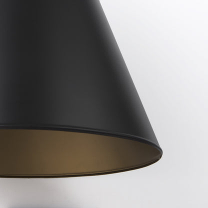 Black Single Ceiling Light w/ Shades