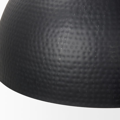 Black Single Ceiling Light w/ Shades