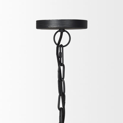 Black Single Ceiling Light w/ Shades