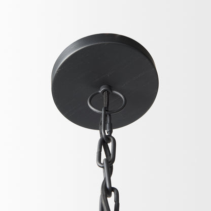 Black Single Ceiling Light w/ Shades