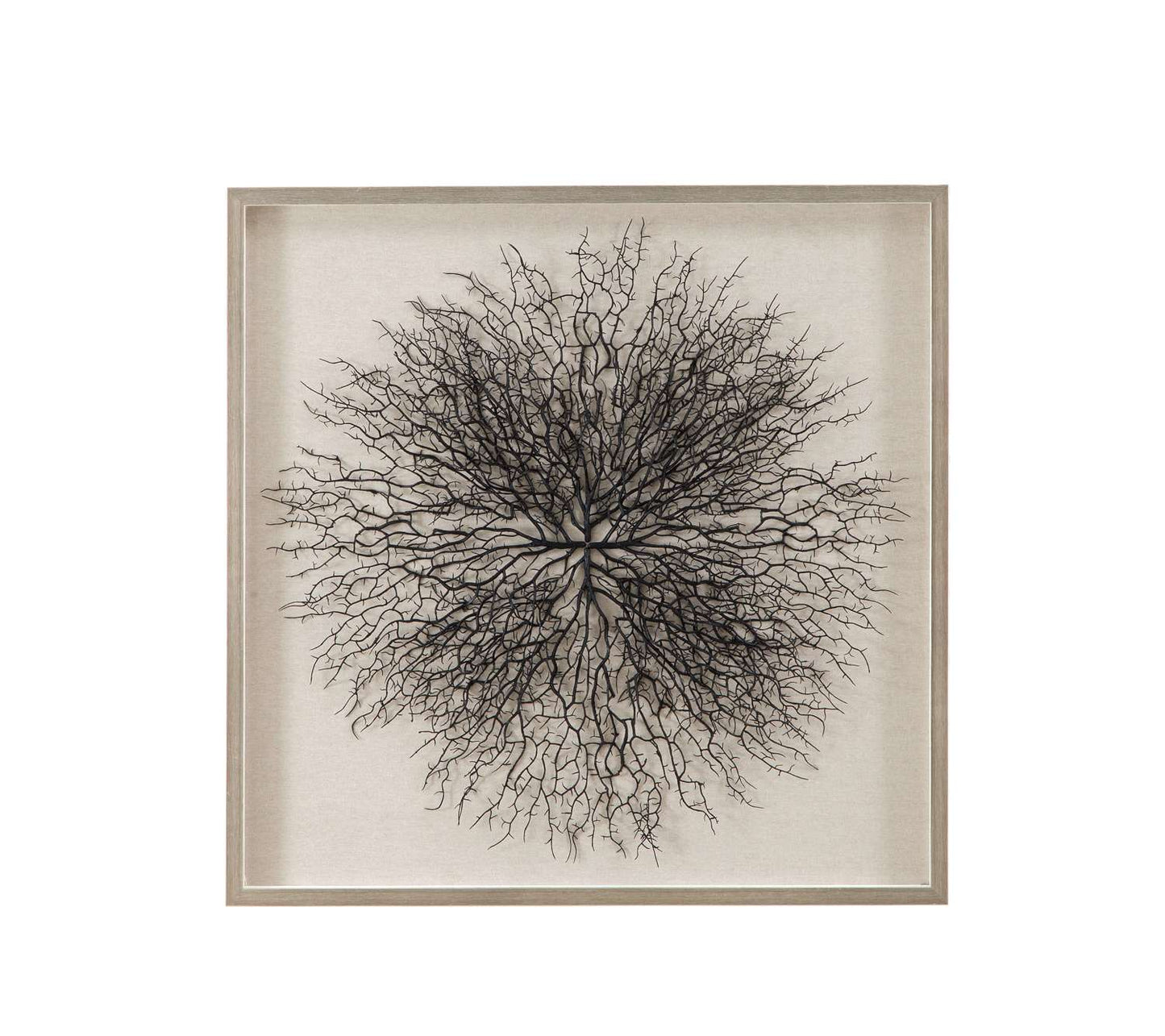 Gracee 32" Wall Art in Hand-Painted Sea Fan with Square Shadow Box - Straight On