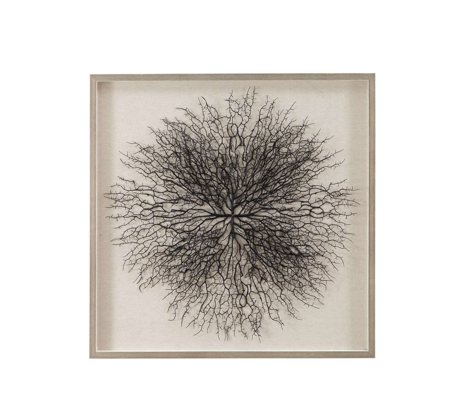 Gracee 32" Wall Art in Hand-Painted Sea Fan with Square Shadow Box - Straight On