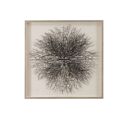 Gracee 32" Wall Art in Hand-Painted Sea Fan with Square Shadow Box - Straight On