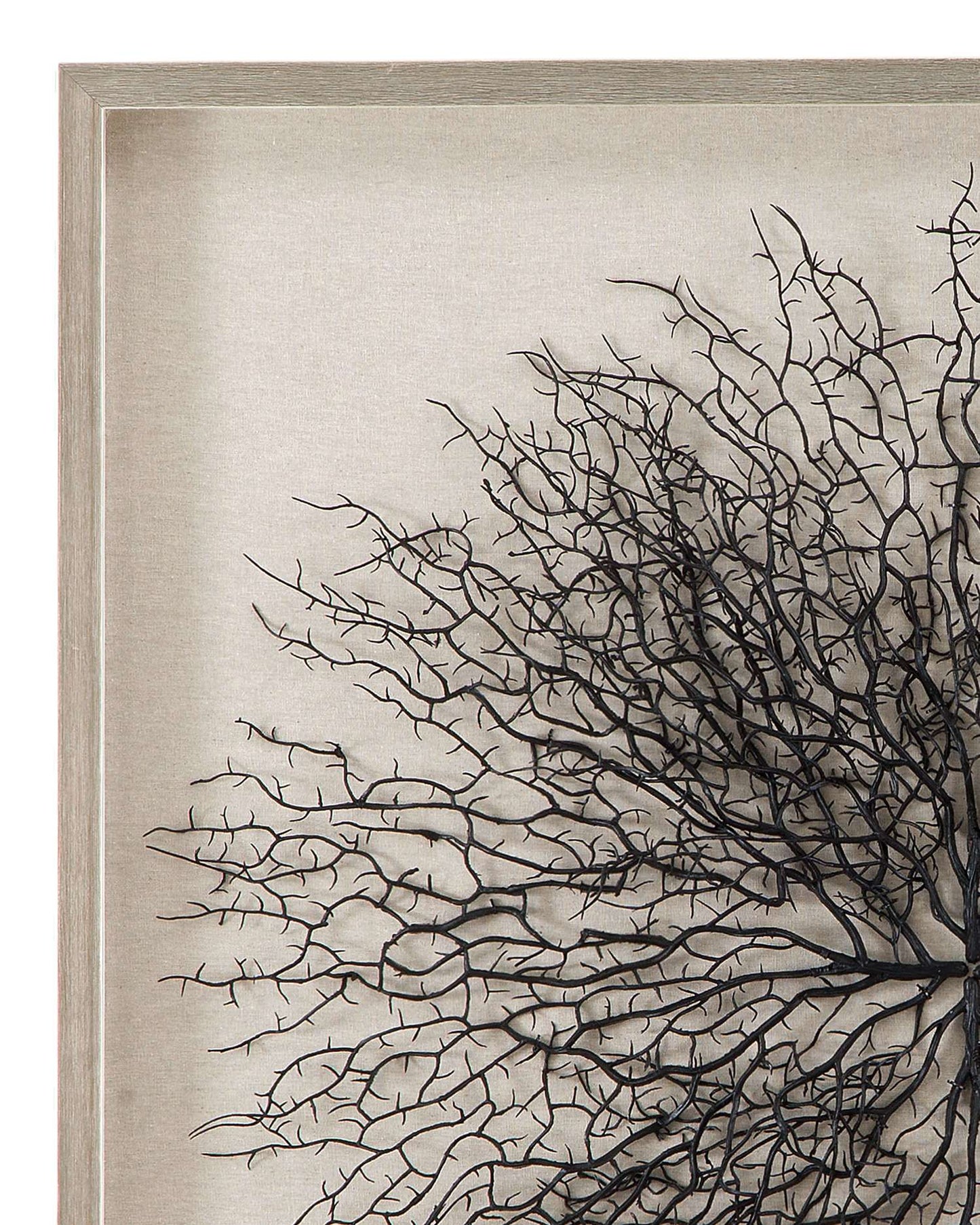 Gracee 32" Wall Art in Hand-Painted Sea Fan with Square Shadow Box - Detail