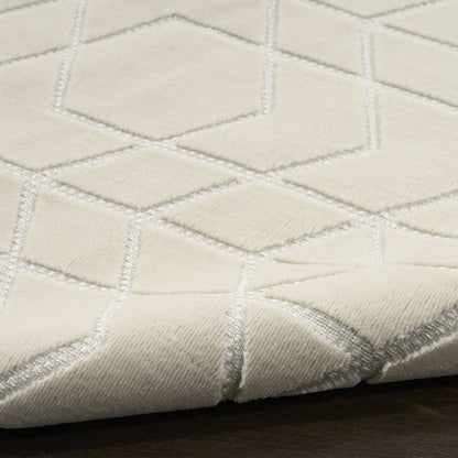 Nourison Charm Ivory Pet Friendly Machine Washable Rug - Texture