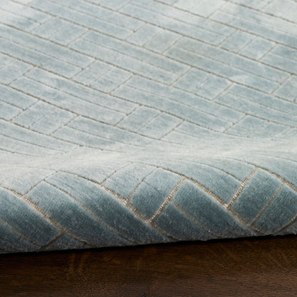 Nourison Charm Blue & Ivory Pet Friendly Machine Washable Rug - Texture
