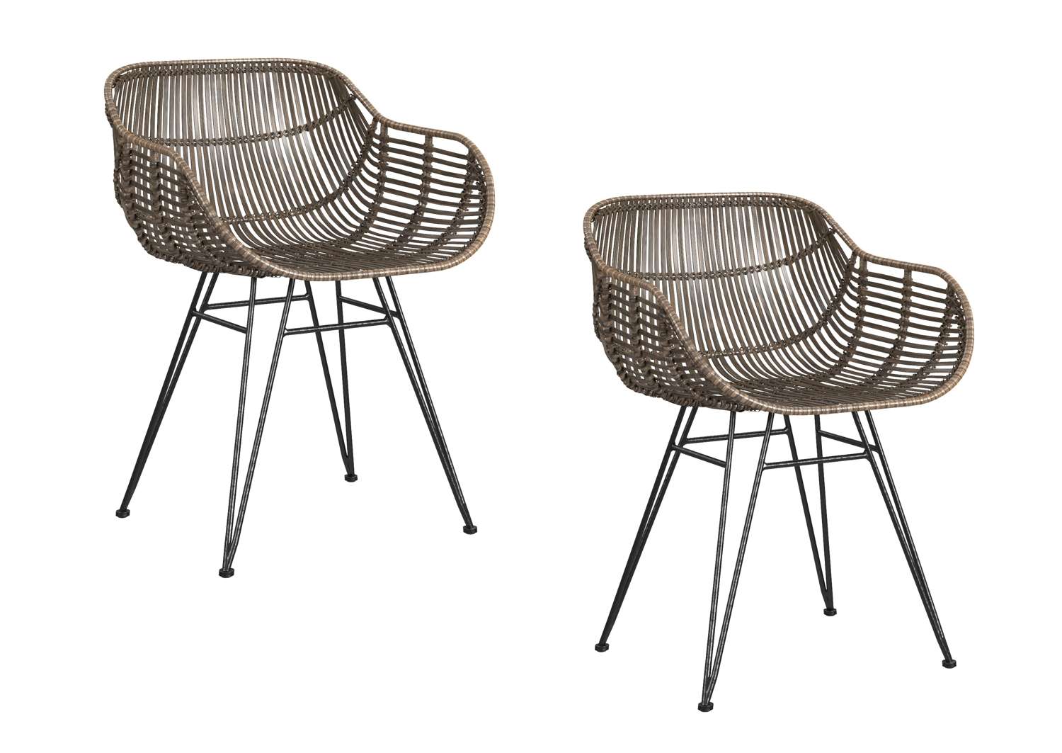 Ryanne Arm Dining Chair (Set of 2) - Angle