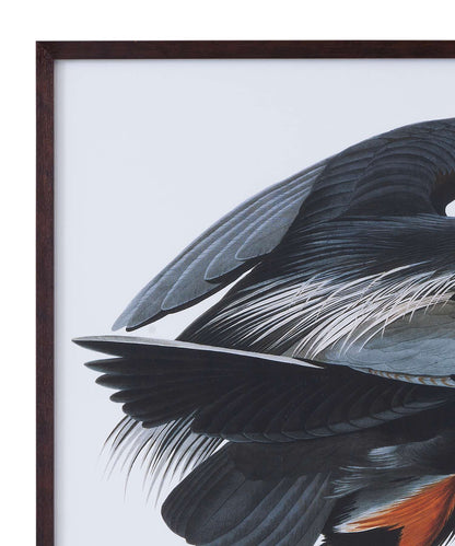 Audubon Great Blue Heron Framed Print - Detail