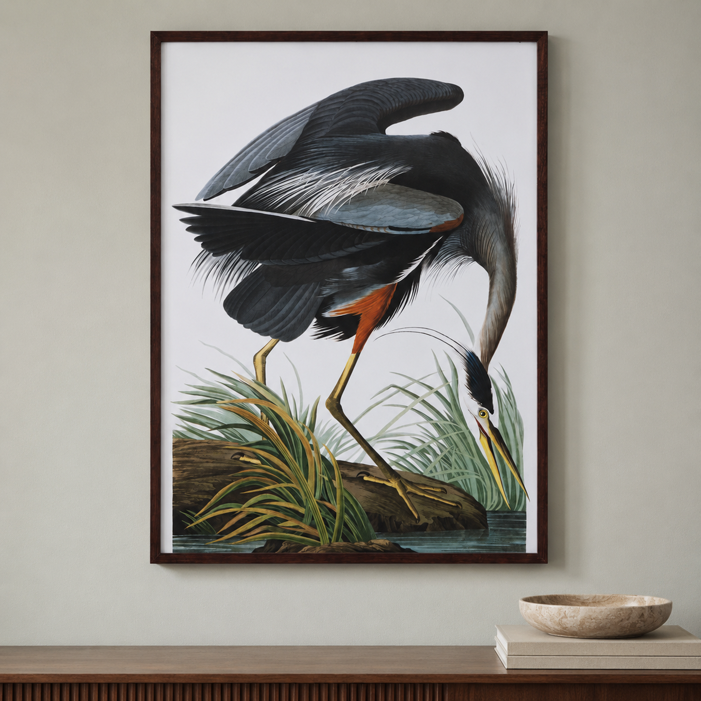 Audubon Great Blue Heron Framed Print - Main