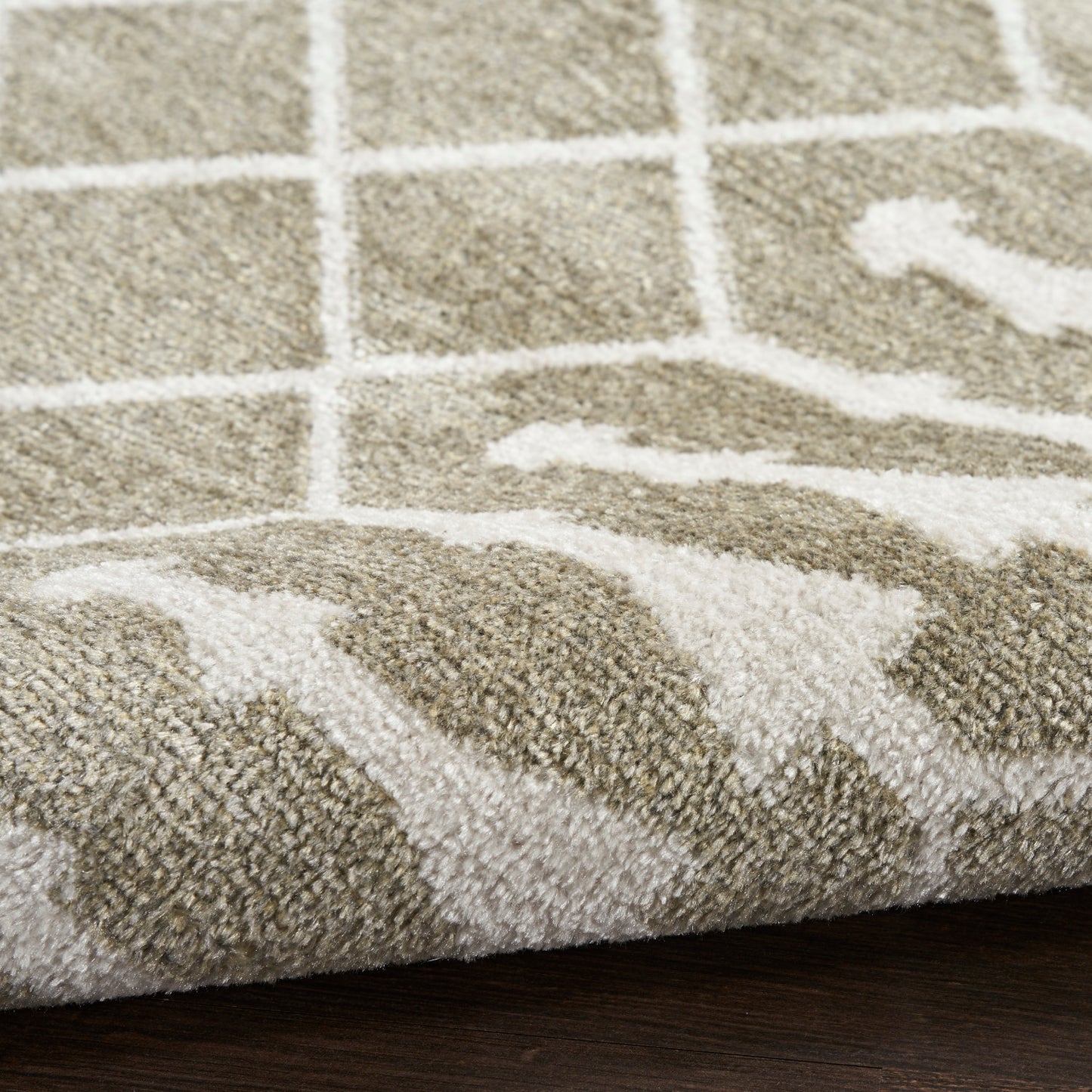 Nourison Astra Sage Pet Friendly Machine Washable Rug - Texture