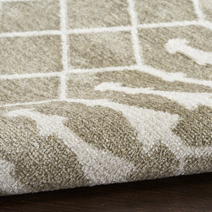Nourison Astra Sage Pet Friendly Machine Washable Rug - Texture