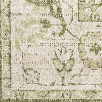 Nourison Astra Ivory & Green Pet Friendly Machine Washable Rug - Swatch