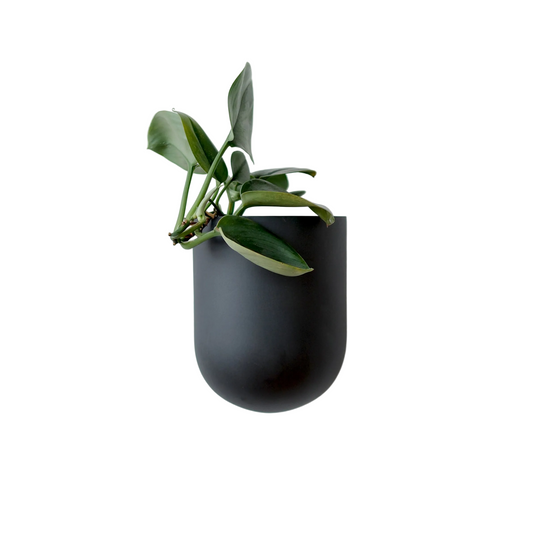 Bender Wall Planter