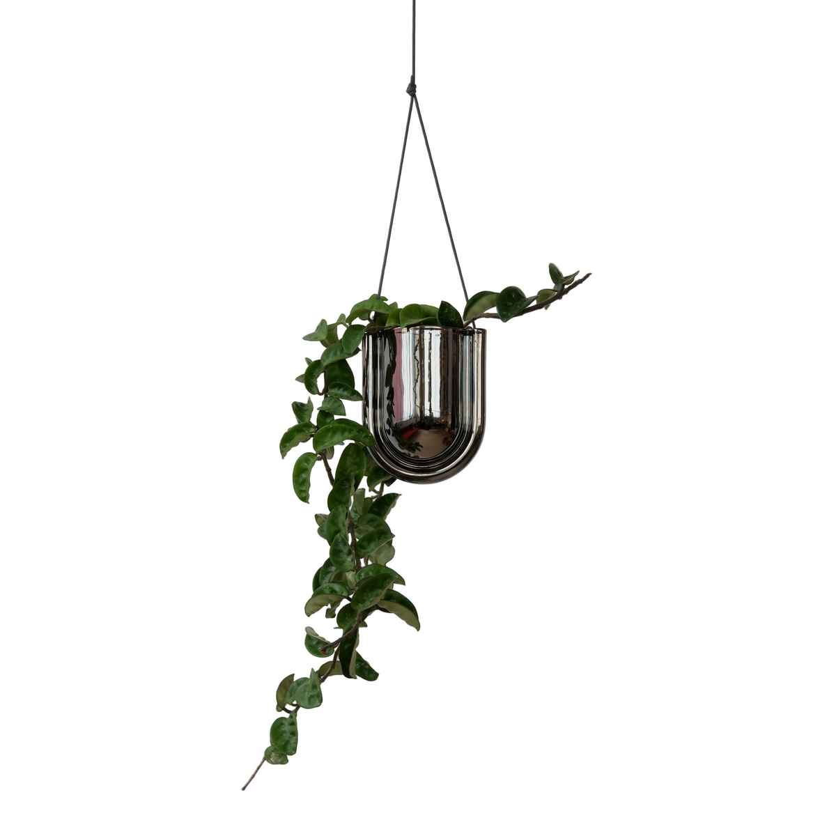 Portico Planter - Chrome