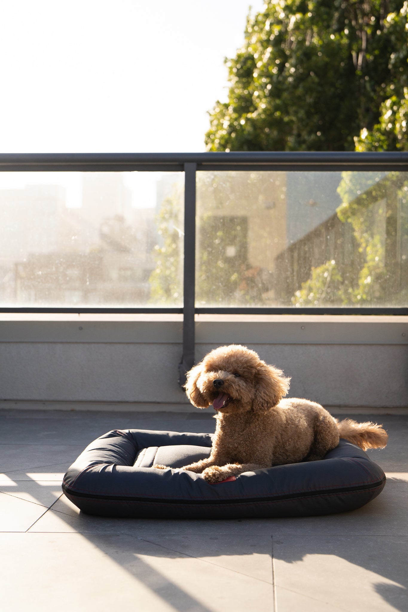 Gray Waterproof Lounger Pet Bed