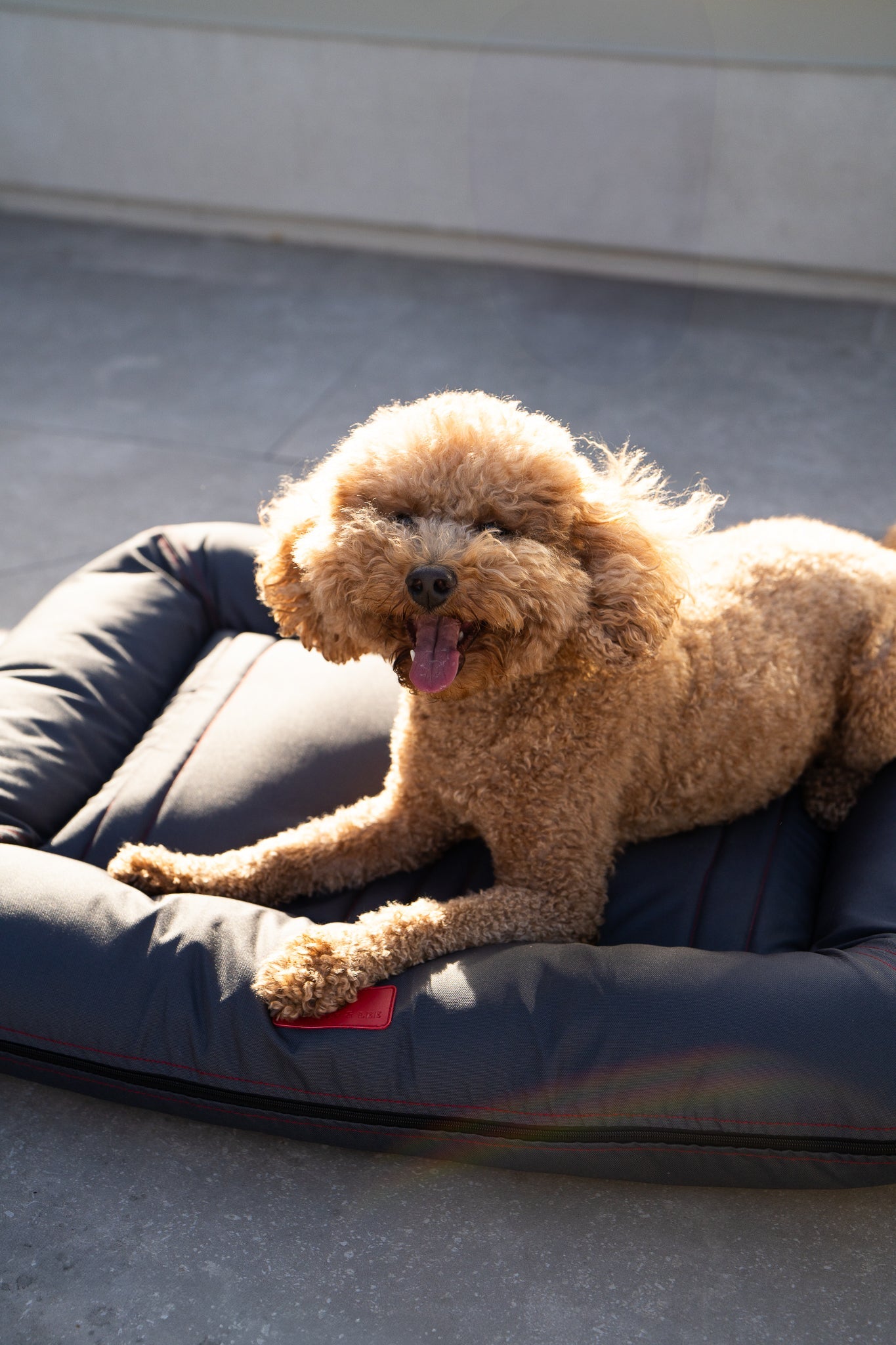 Gray Waterproof Lounger Pet Bed