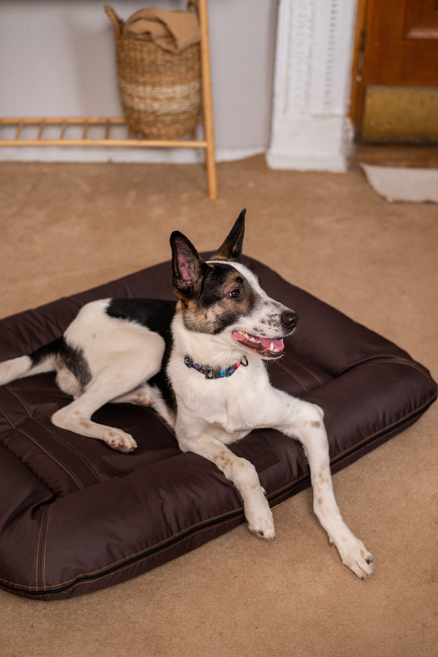Brown Waterproof Lounger Pet Bed