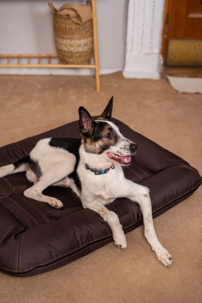 Brown Waterproof Lounger Pet Bed