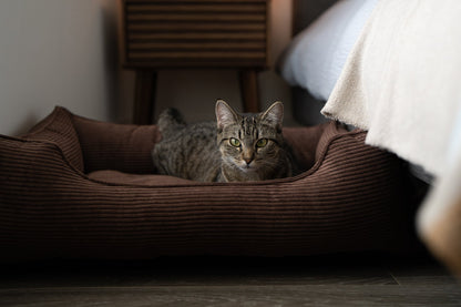 Brown Fancy Corduroy Sleeper Pet Bed