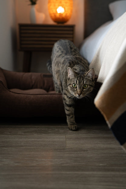 Brown Fancy Corduroy Sleeper Pet Bed