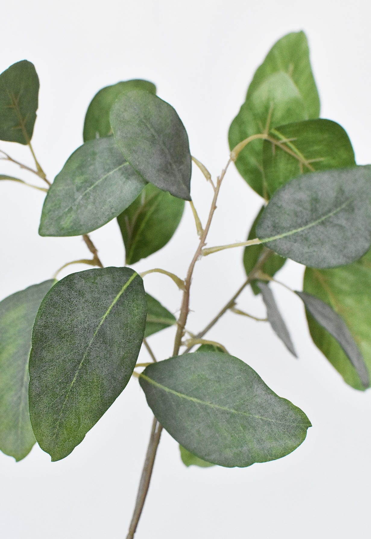 24" Faux Eucalyptus Leaf Stem