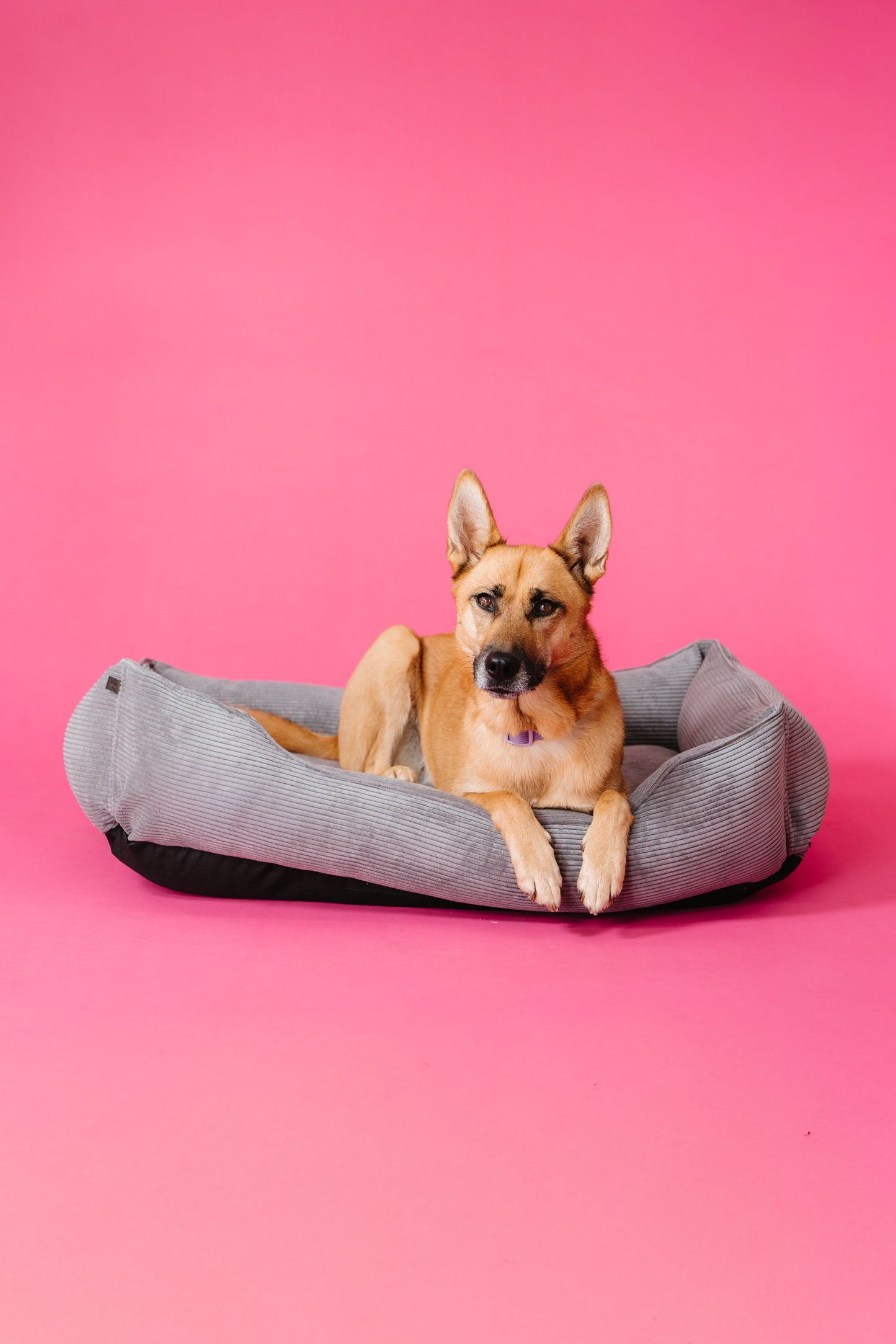 Gray Fancy Corduroy Sleeper Pet Bed