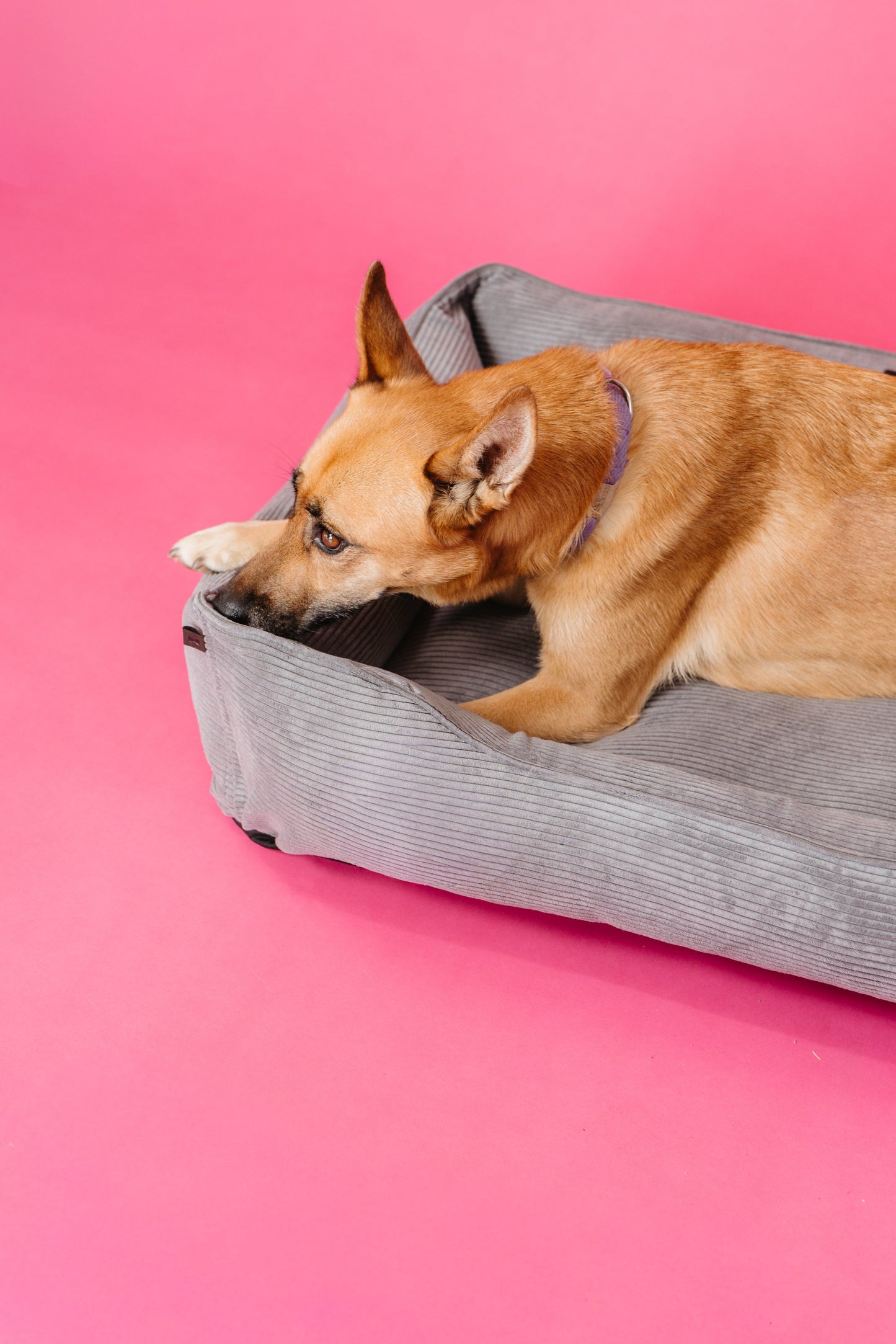 Gray Fancy Corduroy Sleeper Pet Bed