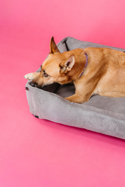 Gray Fancy Corduroy Sleeper Pet Bed