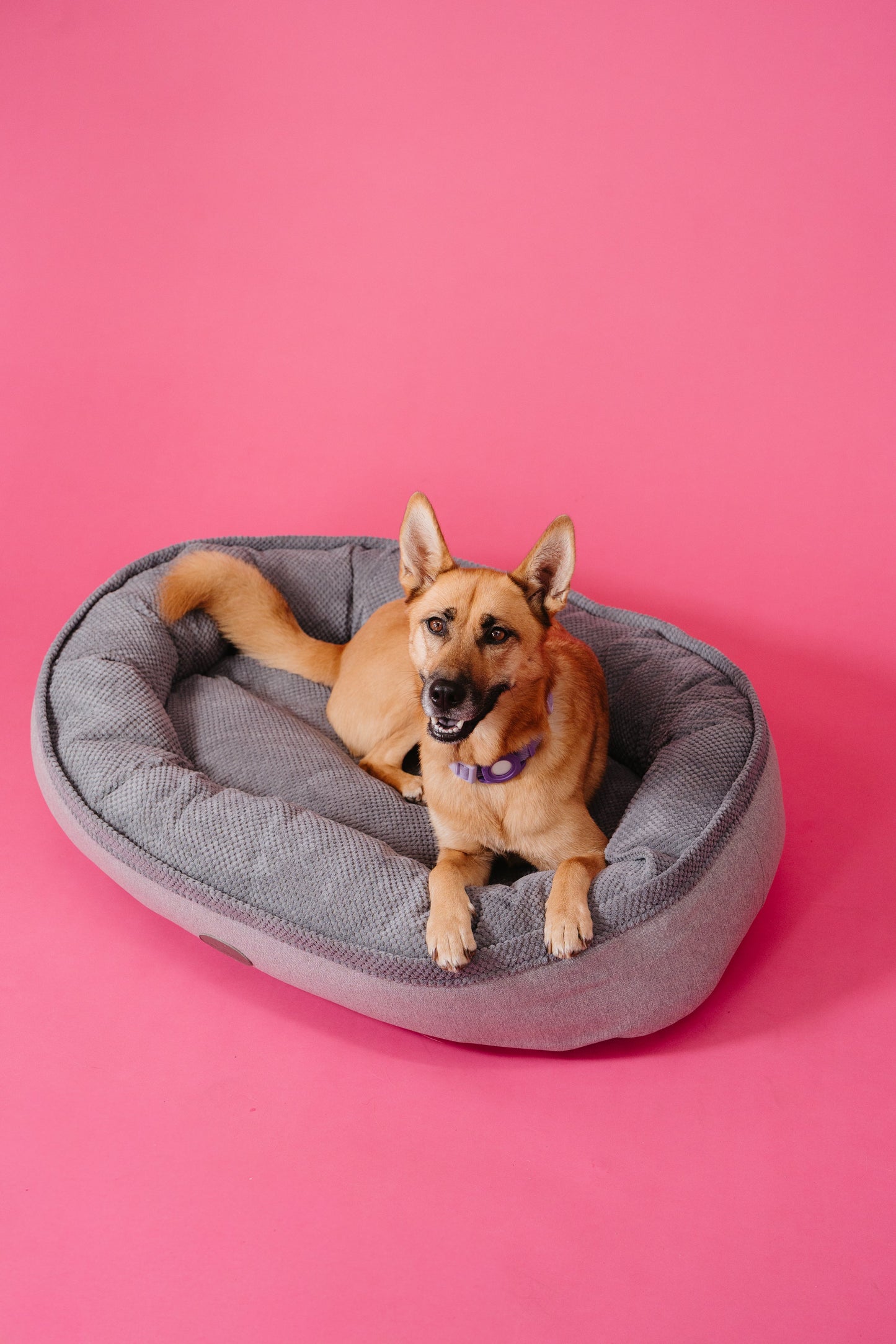 Furry Gray Bagel Pet Bed