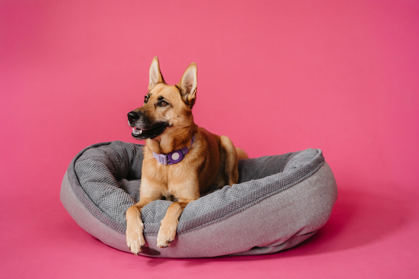 Furry Gray Bagel Pet Bed