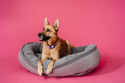 Furry Gray Bagel Pet Bed