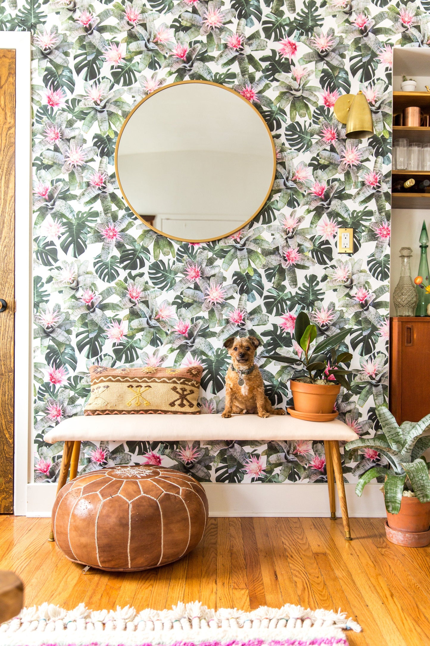 Rad Bromeliad Wallpaper - White