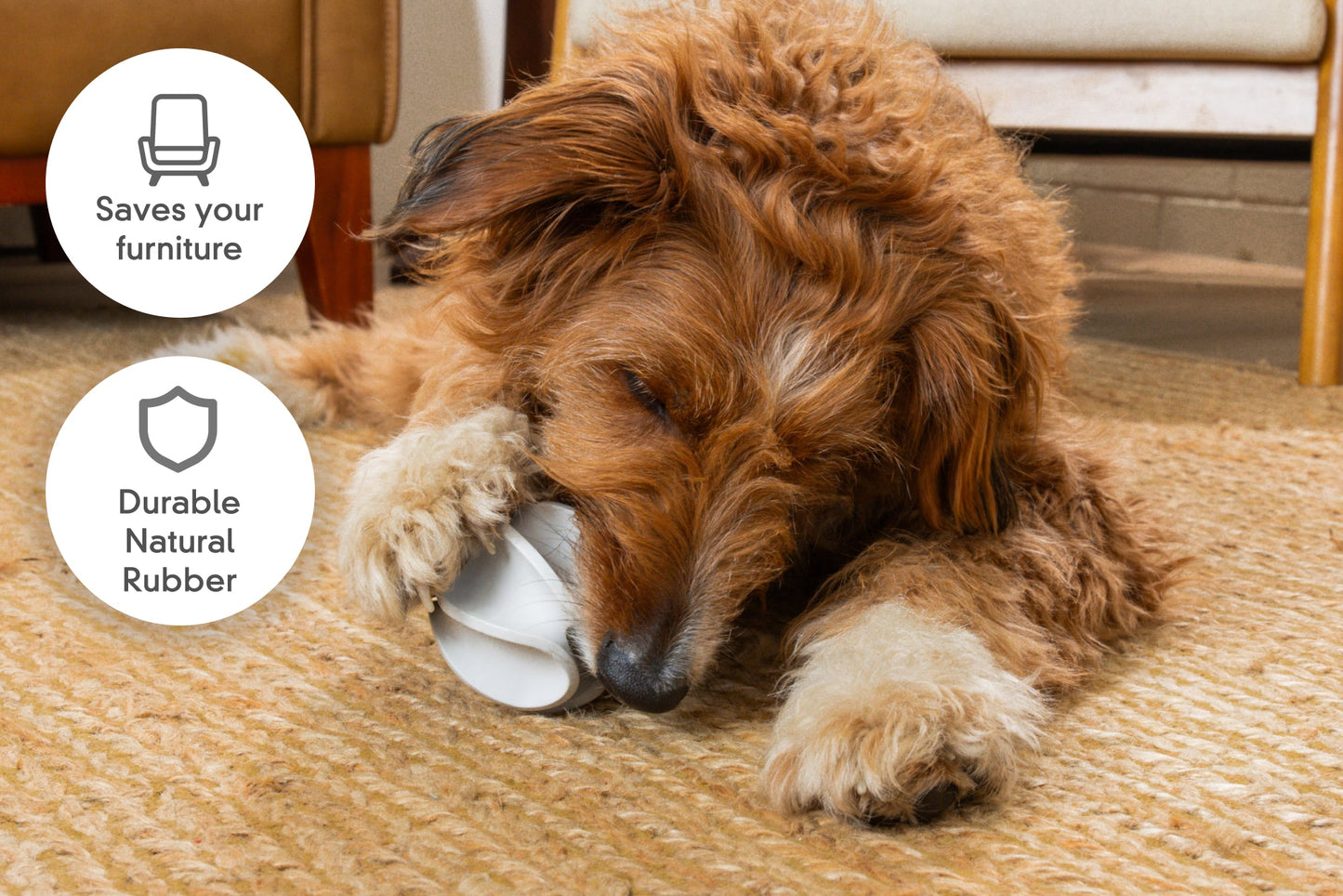 Treat Dispensing Rubber Toy