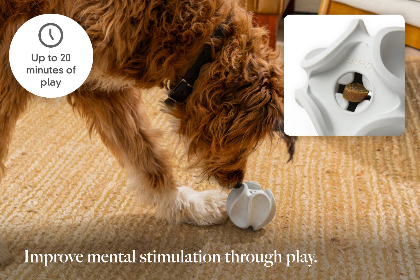 Treat Dispensing Rubber Toy