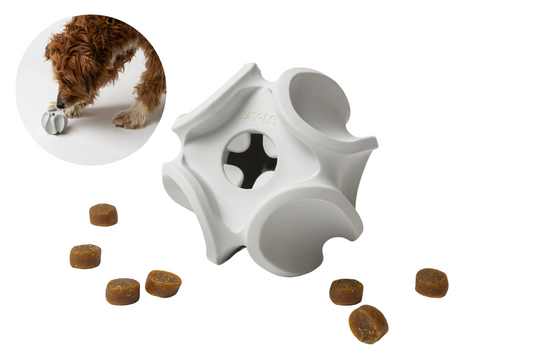 Treat Dispensing Rubber Toy