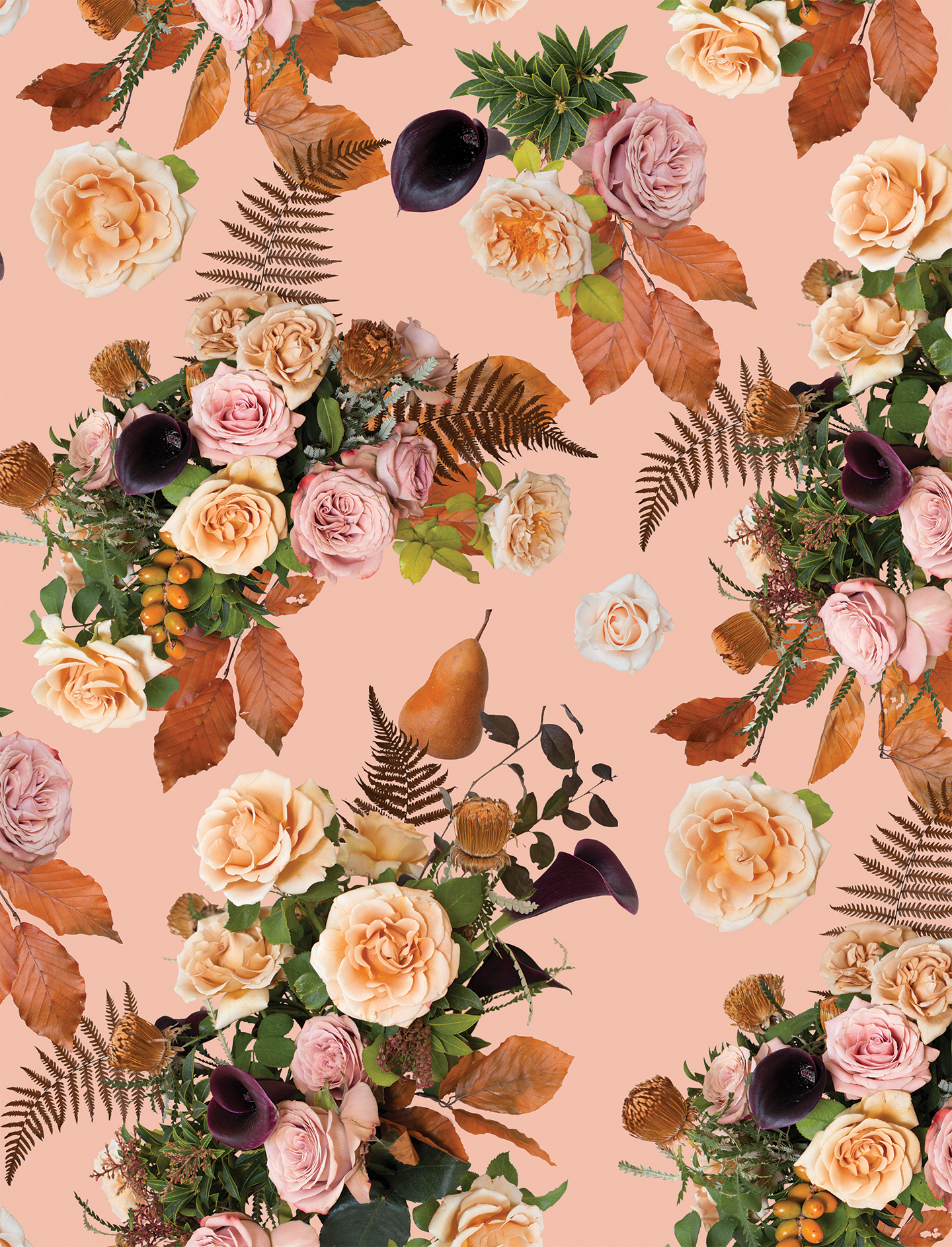 Honey & Poppies Wallpaper - Blush