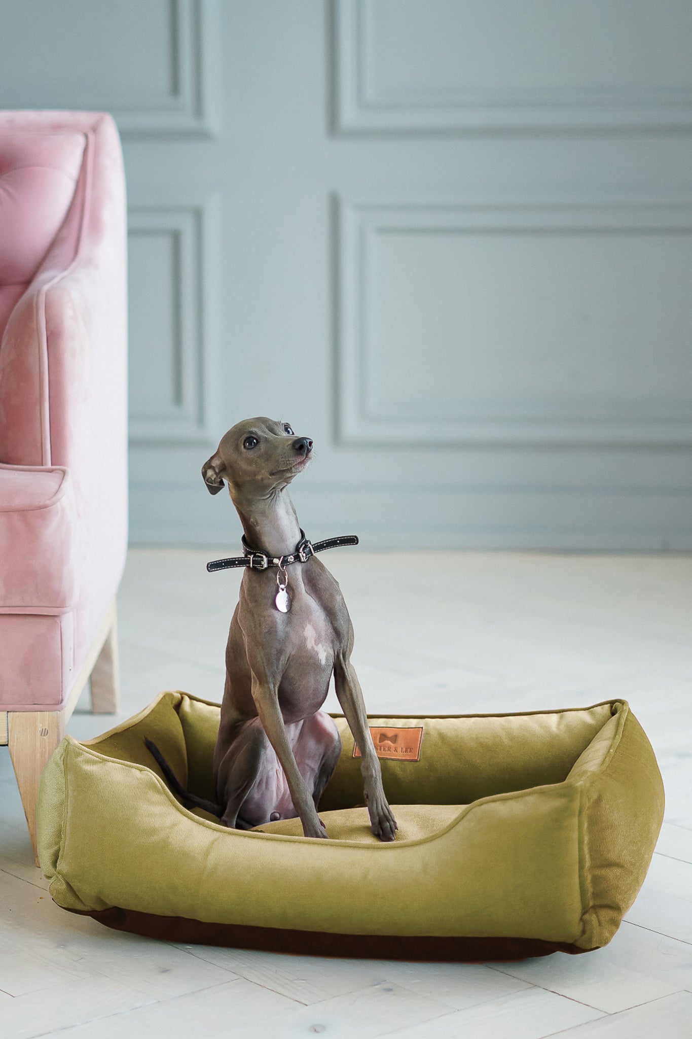 Olive Vibrant Velvet Sleeper Pet Bed