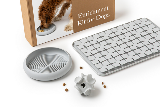 Dog Enrichment Starter Bundle & Gift Box