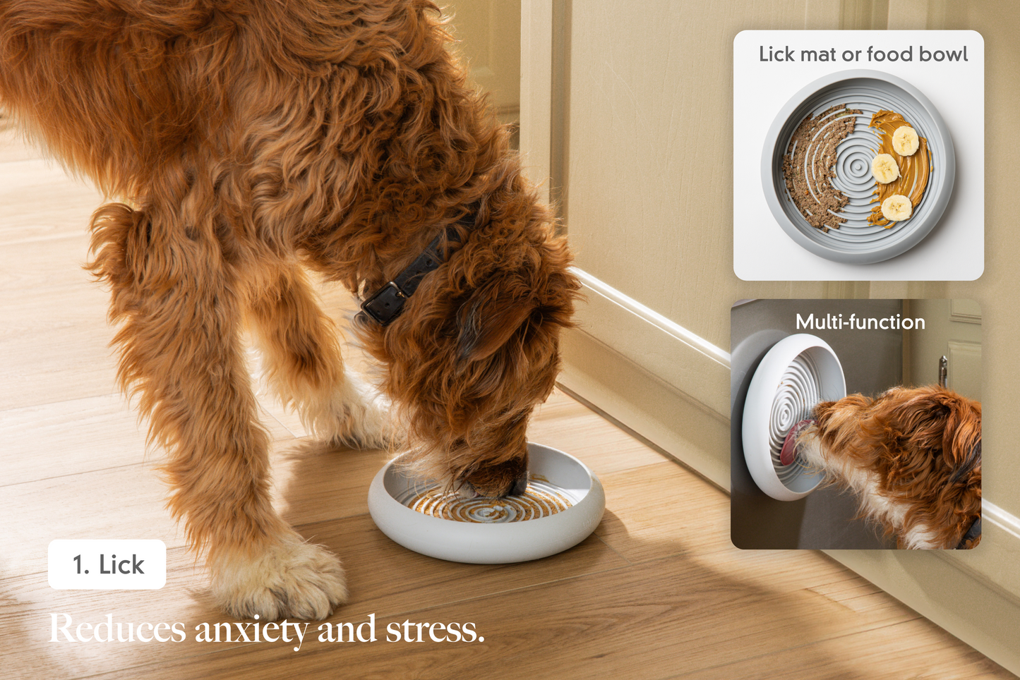 Dog Enrichment Starter Bundle & Gift Box