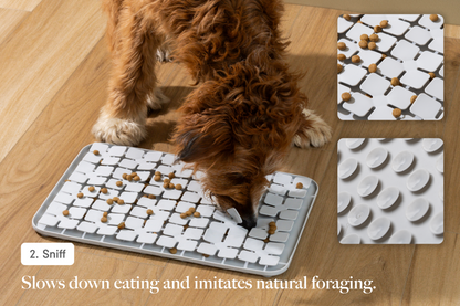 Dog Enrichment Starter Bundle & Gift Box