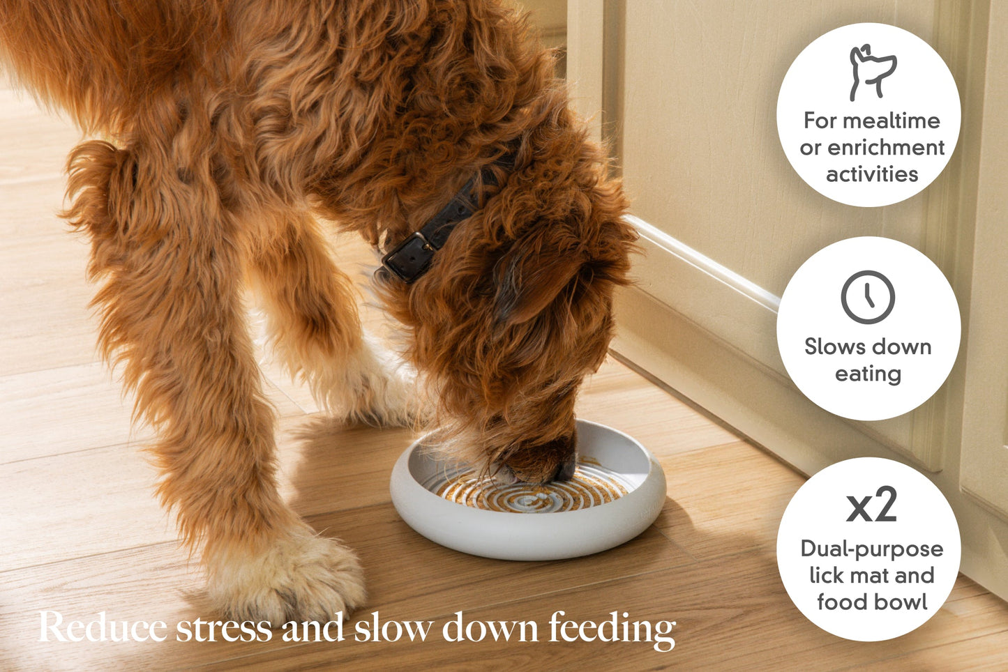 Enrichment Lick Mat & Food Bowl