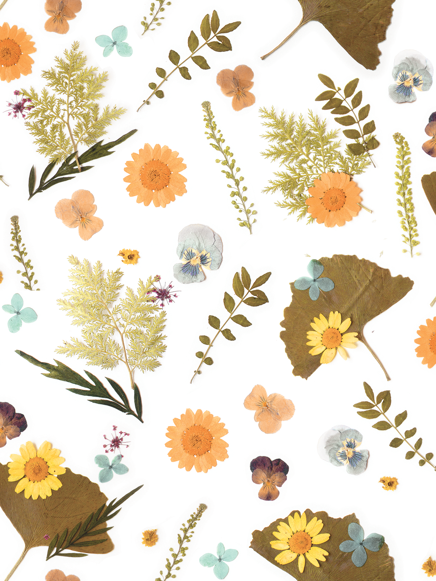 Pressed Fresh Version 01 Wallpaper, merigold & teal