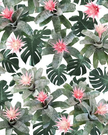 Rad Bromeliad Wallpaper - White