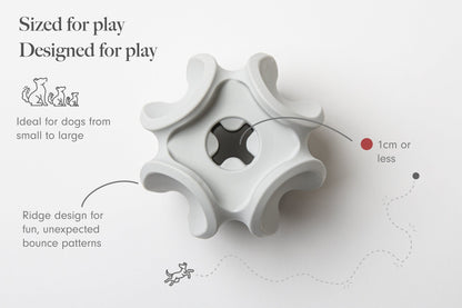 Treat Dispensing Rubber Toy